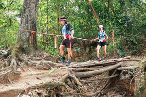 BIB: 
                            <button type="button" onclick="openModal(27725725)" class="btn btn-primary btn-sm float-right btn-popup" data-toggle="modal" data-target=".modal-high-quality">
                        <i class="fas fa-shopping-cart"></i> Add to Cart
                    </button>
                                            <button type="button" onclick="isThisMe(27725725, true)" class="btn btn-success btn-sm float-right btn-popup btn-isme hidden" data-toggle="tooltip" data-placement="bottom" title="นี่คือรูปของคุณใช่ไหม คลิกที่นี่เพื่อเอาเข้าอัลบั้ม">
                        <i class="fas fa-plus"></i> Add to album
                    </button>
                    <button type="button" onclick="isThisMe(27725725, false)" class="btn btn-warning btn-sm float-right btn-popup btn-isnotme hidden">
                        <i class="fas fa-ban"></i> Remove from album
                    </button>